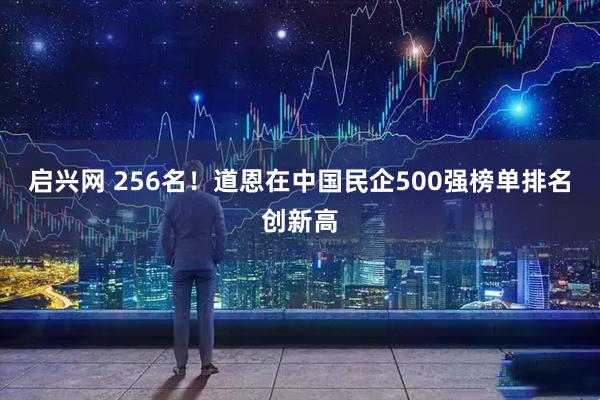 启兴网 256名！道恩在中国民企500强榜单排名创新高