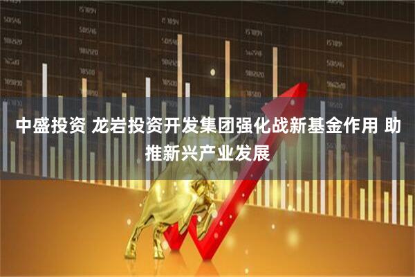 中盛投资 龙岩投资开发集团强化战新基金作用 助推新兴产业发展