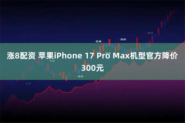 涨8配资 苹果iPhone 17 Pro Max机型官方降价300元